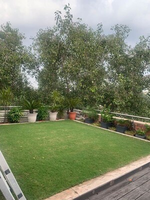 3.5 BHK Builder Floor – Garden View at Sarvodaya Enclave - for Rent