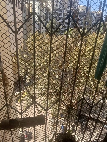 1 BHK Apartment – Garden View at Krishna Greenland Park Vastu Federation, Ghodbunder Road - for Rent