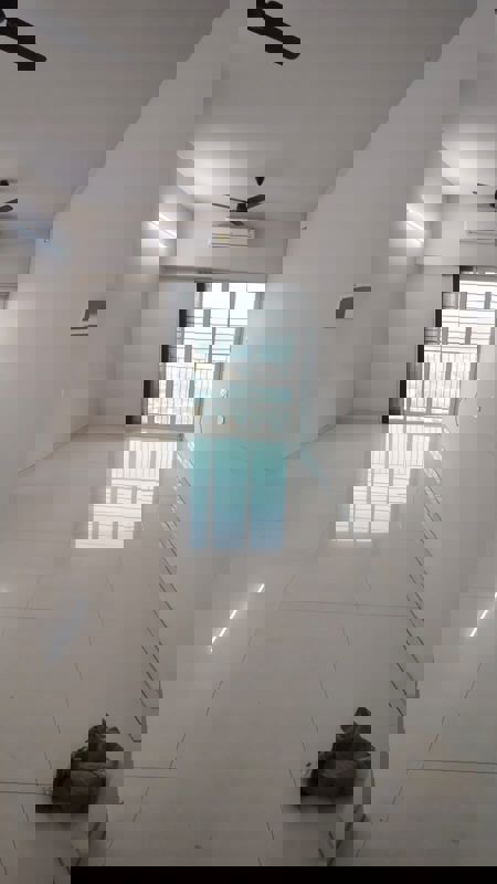 1 BHK Apartment For Rent in Kalpataru Immensa