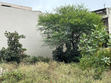  Plot For Sale in Danish Kunj