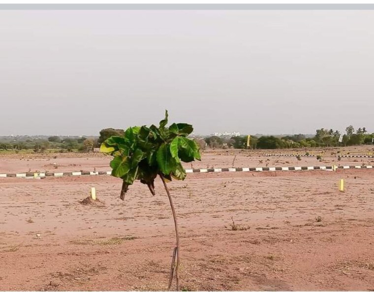 undefined, shadnagar  263 Sq.Yd. Plot In Shadnagar Hyderabad 9725864