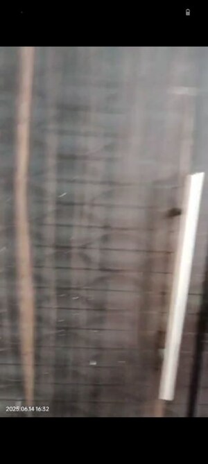 Bathroom in 3 BHK Apartment at Aditya Celebrity Homes, Sector 76 – for Rent