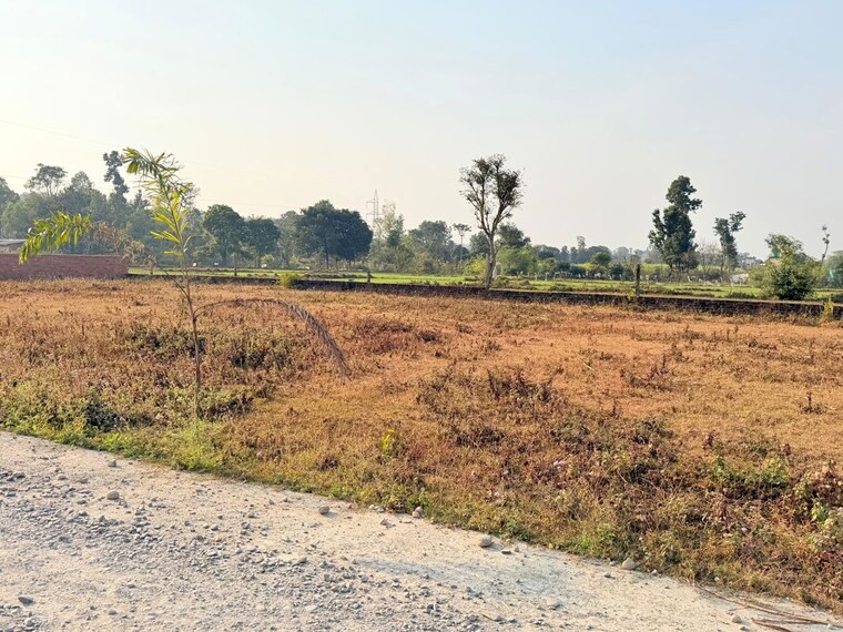 undefined, badripur  226 Sq.Yd. Plot In Badripur Dehradun 9726048