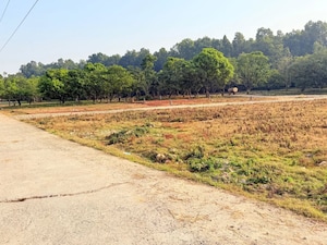  Plot For Sale in Badripur