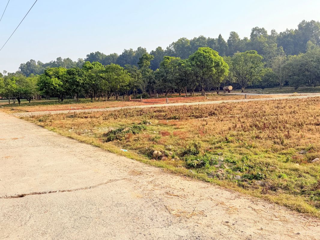 Plot For Sale in Shimla By Pass 