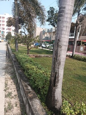  Plot – Exterior View View at Katara - for Sale