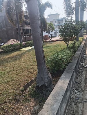  Plot – Exterior View View at Katara - for Sale