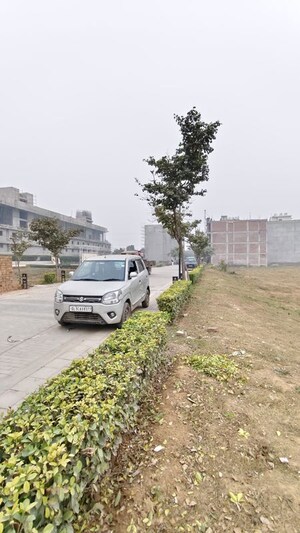 3 BHK Builder Floor For Sale in BPTP District, Sector 81