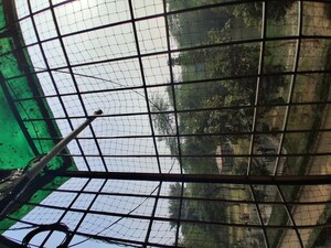 Balcony in 3 BHK Apartment at Andheria Mor Village – for Sale