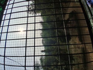 Balcony in 3 BHK Apartment at Andheria Mor Village – for Sale