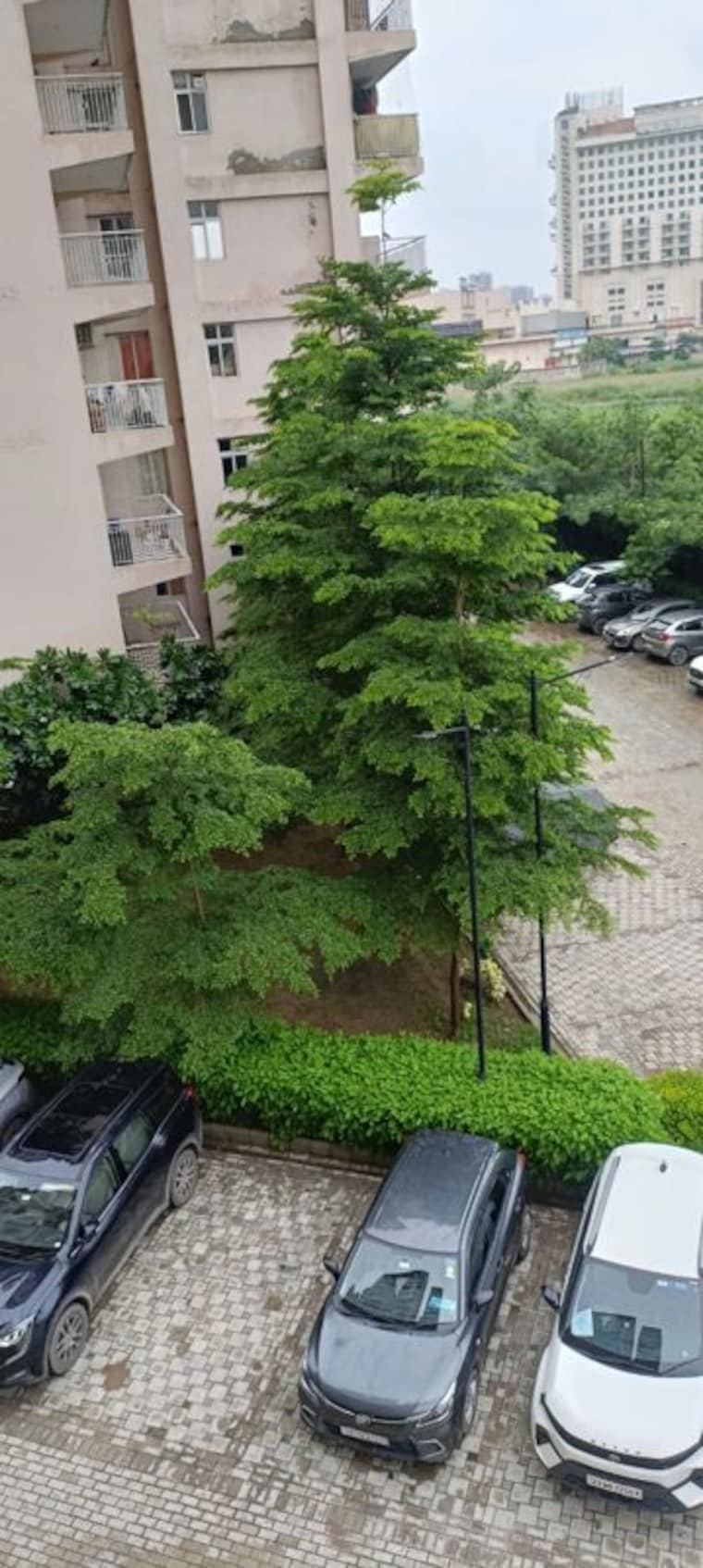 Garden, shree-vardhman-green-court 2 Bedroom 690 Sq.Ft. Apartment In Sector 90 Gurgaon 9726728