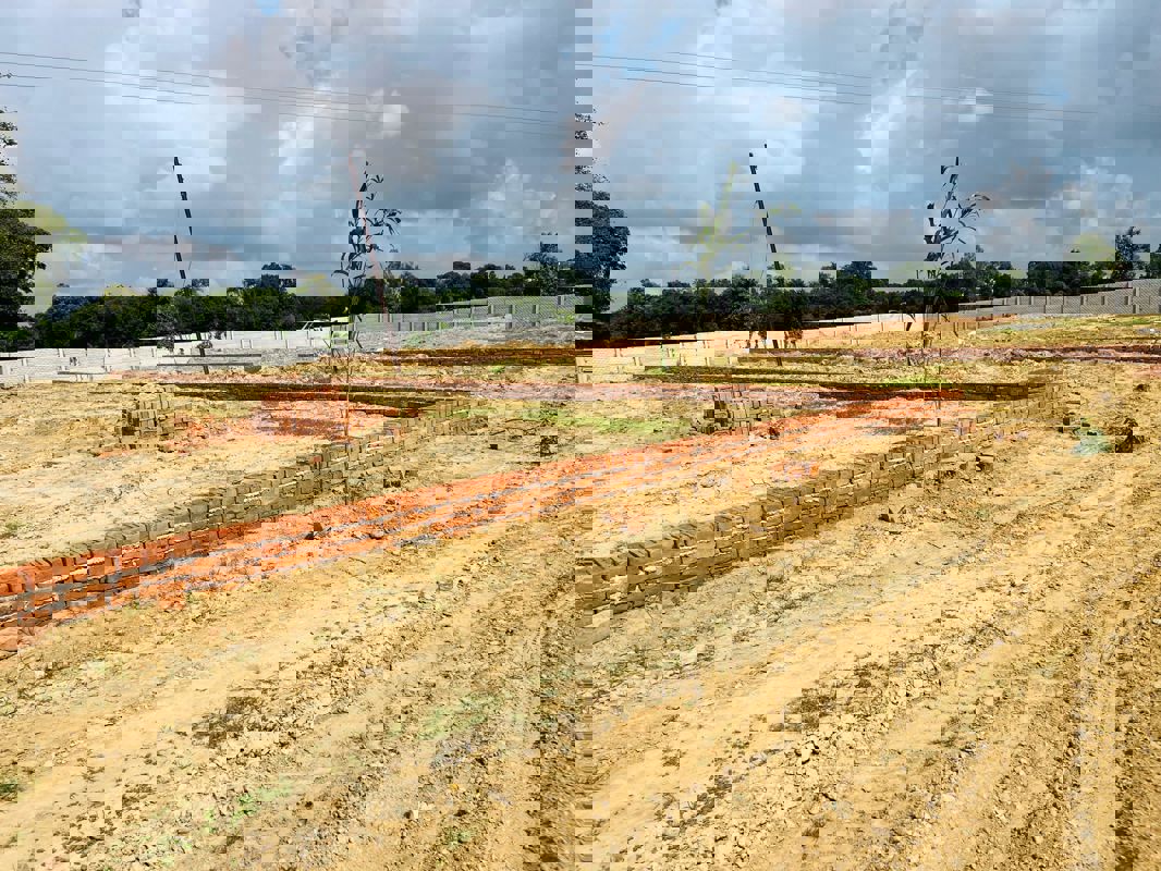 Plot For Sale in Faizabad Road