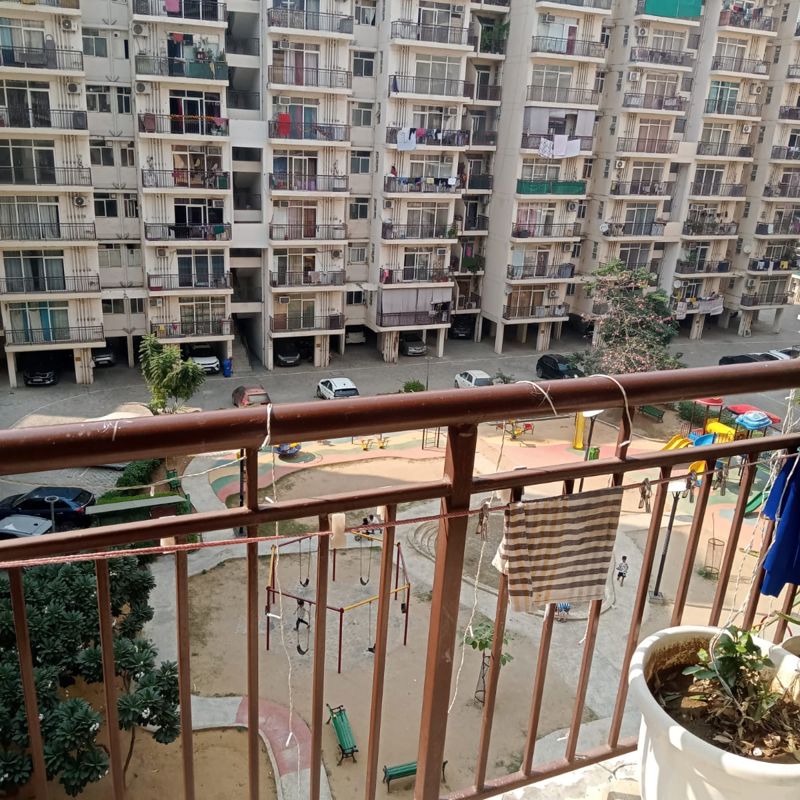 1 BHK Apartment For Rent in AVL 36 Gurgaon
