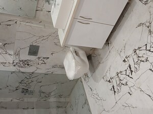 Bathroom in 4 BHK Builder Floor at Uppal Southend, Sector 49 – for Rent