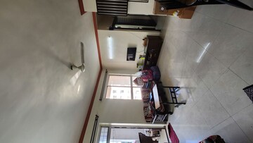 1 BHK Apartment For Rent in Lunkad Zodiac, Viman Nagar