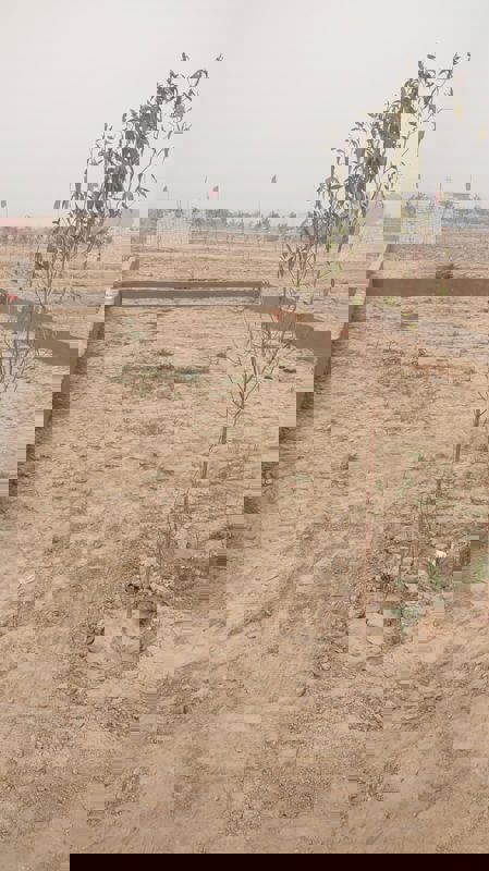 Plot For Sale in Tappal