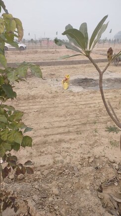 Plot For Sale in Tappal