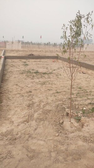Plot Area in  Plot at Tappal – for Sale