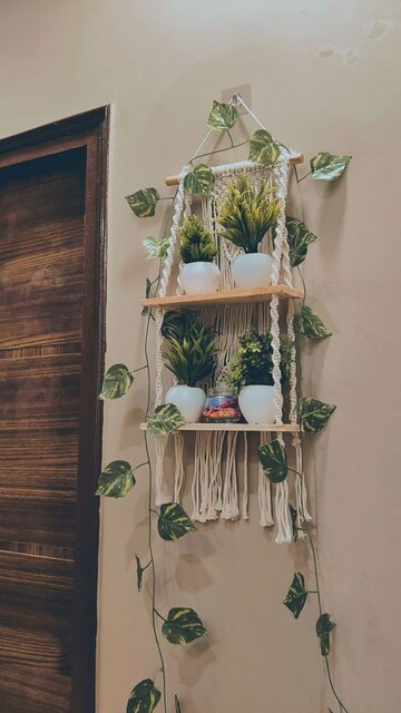  Pg For Rent in Vineet Khand