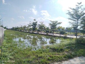 Plot Area in  Plot at Thimmapur – for Sale