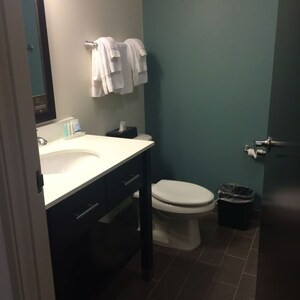 Bathroom in 3 BHK Apartment at Pushpak Nagar – for Sale