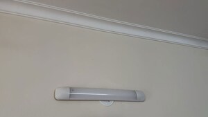 2 BHK Apartment For Rent in Pareena Micasa, Sector 68