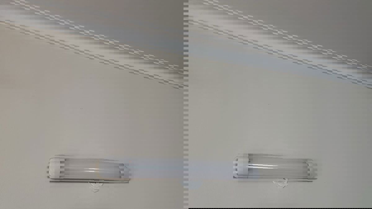 2 BHK Apartment For Rent in Pareena Micasa