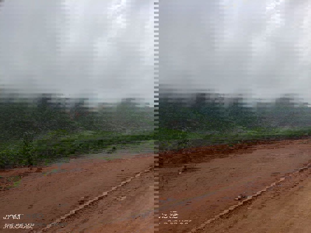 Plot For Sale in Plot For Sale In Jevar ai