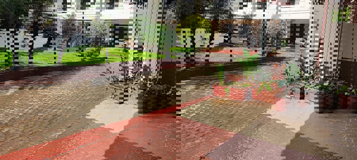 3 BHK + Pooja Room Apartment For Rent in Vineyard Corner Stone