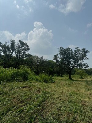 Plot Area in  Land at Dodamarg – for Sale