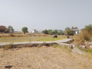 Plot Area in  Plot at Vindhane – for Sale