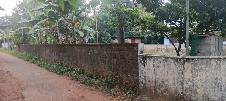 undefined, kuttoor  4356 Sq.Ft. Plot In Kuttoor Thrissur 9727479