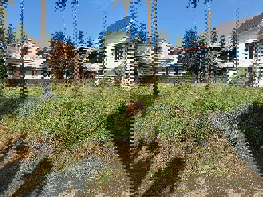 Plot For Sale in Kuttanellur