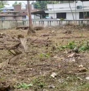 Plot Area in  Plot at Kalathode – for Sale