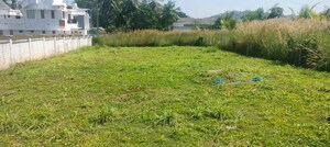 Plot Area in  Plot at Mannuthy – for Sale