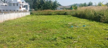 Plot Area in  Plot at Mannuthy – for Sale