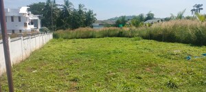  Plot For Sale in Mannuthy