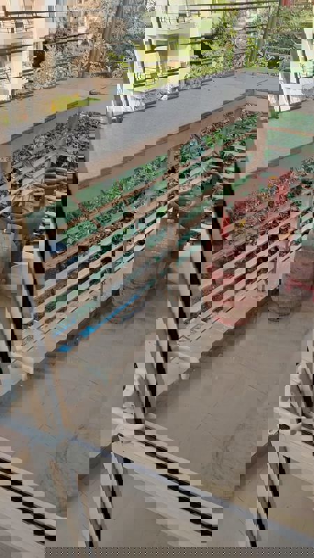 2 BHK Apartment For Rent in Unitech Fresco