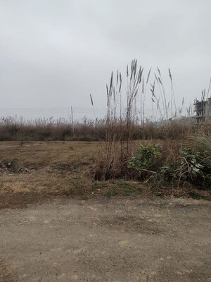  Plot For Sale in Sector 26