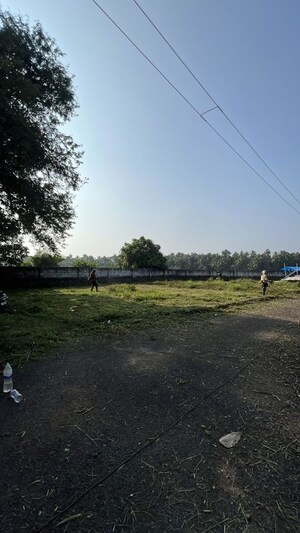 Plot Area in  Plot at Mundoor – for Sale