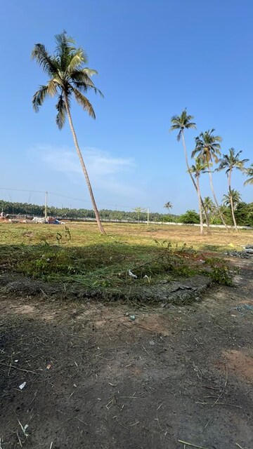 Plot Area in  Plot at Mundoor – for Sale