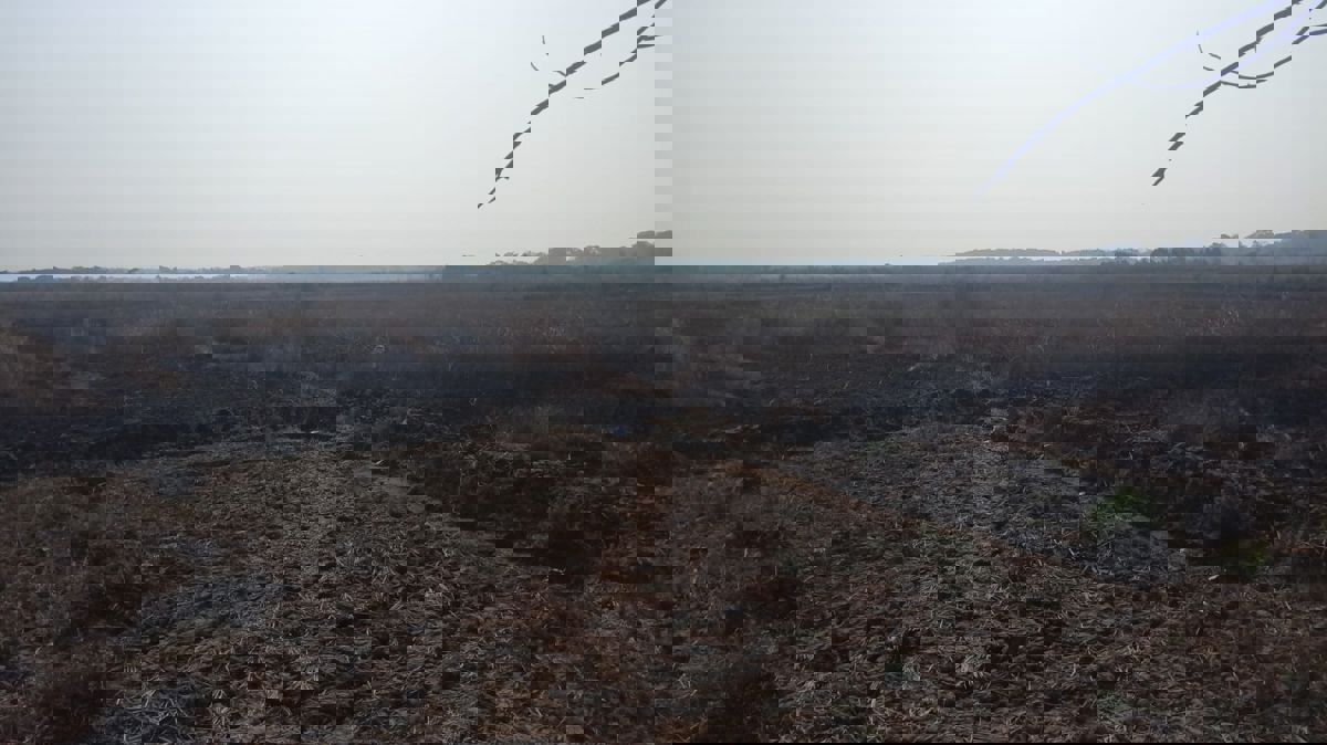 Plot For Sale in W23gjv Navi Mumbai, Mahar