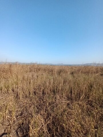 Plot Area in  Plot at Vindhane – for Sale