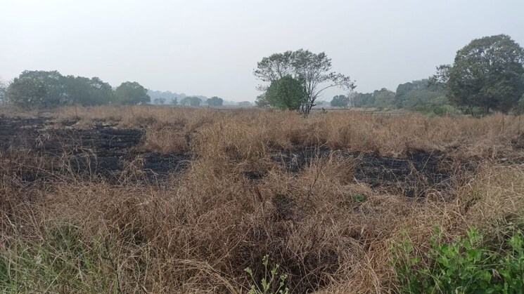 undefined, ekdant-om-sai  1089 Sq.Ft. Plot In Pen Navi Mumbai 9727973