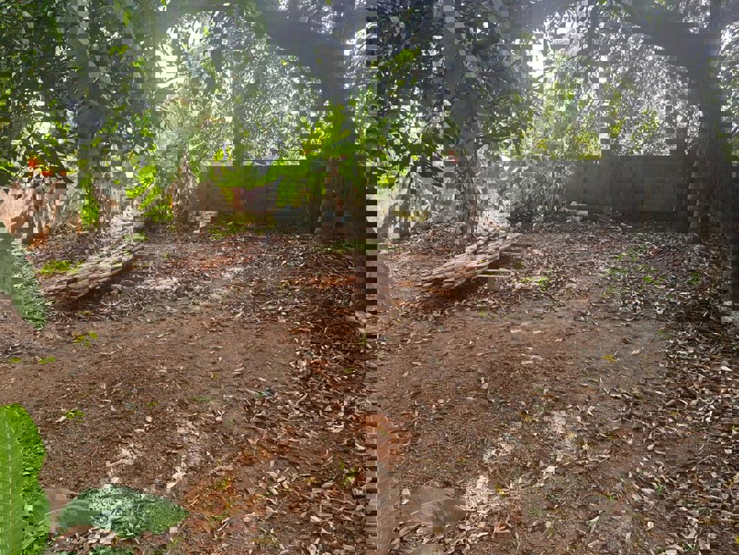 Plot For Sale in Nellankara