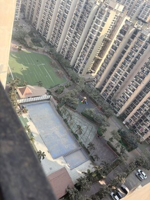 3.5 BHK Apartment For Rent in Gaur City 1st Avenue, Sector 4 Greater Noida