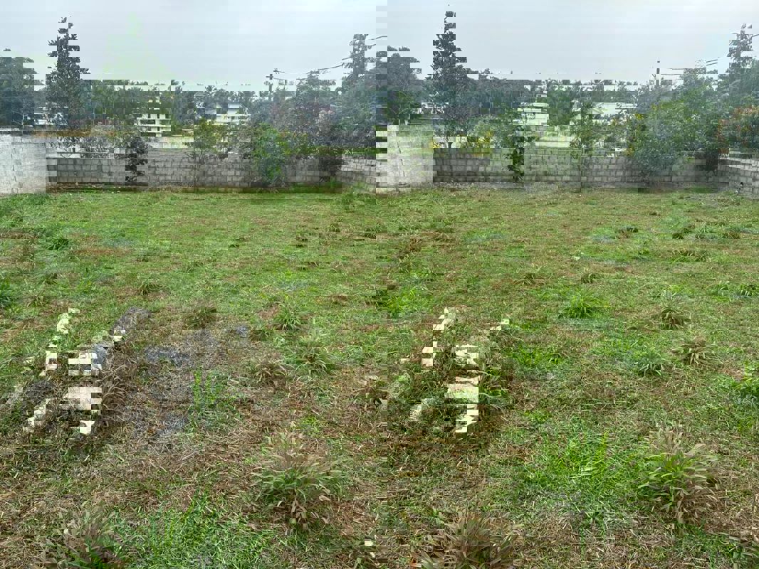 Plot For Sale in Kechery