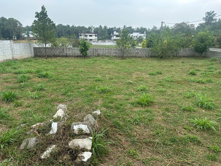 undefined, kechery  4356 Sq.Ft. Plot In Kechery Thrissur 9728077