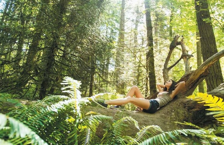 Garden, purva-atmosphere 3 Bedroom 2000 Sq.Ft. Apartment In Thanisandra Main Road Bangalore 9728163