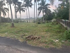 Plot For Sale in Olarikara